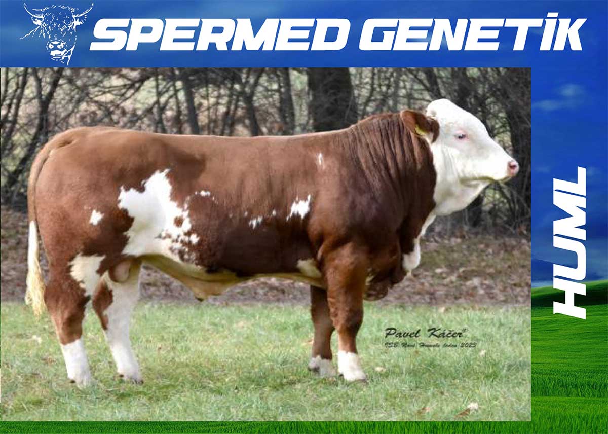 SİMENTHAL