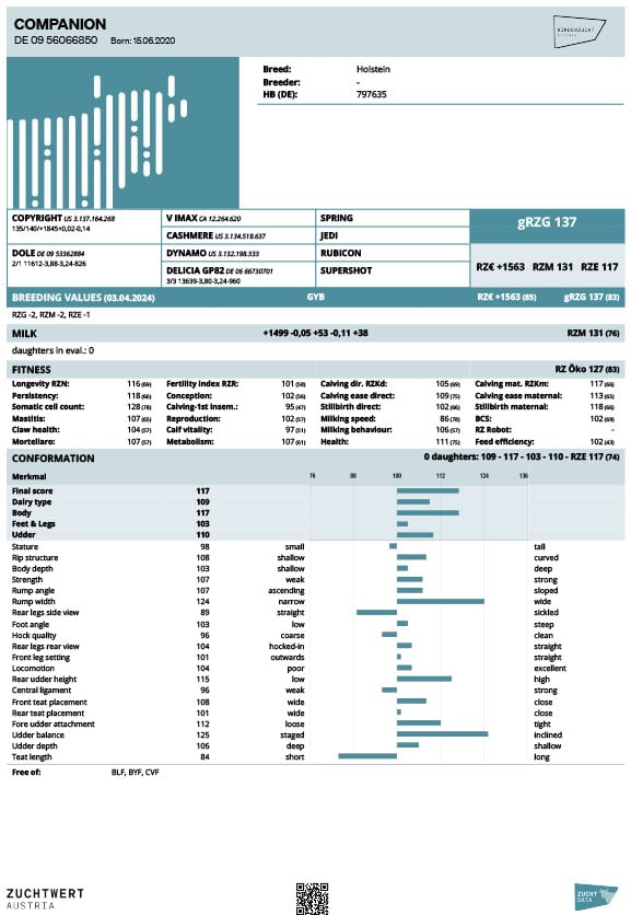 COMPANİON PEDİGREE