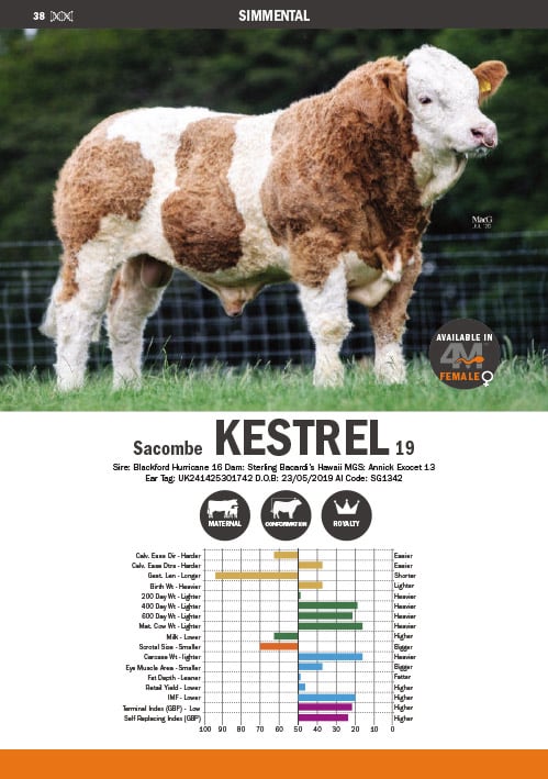 KESTREL PEDİGREE